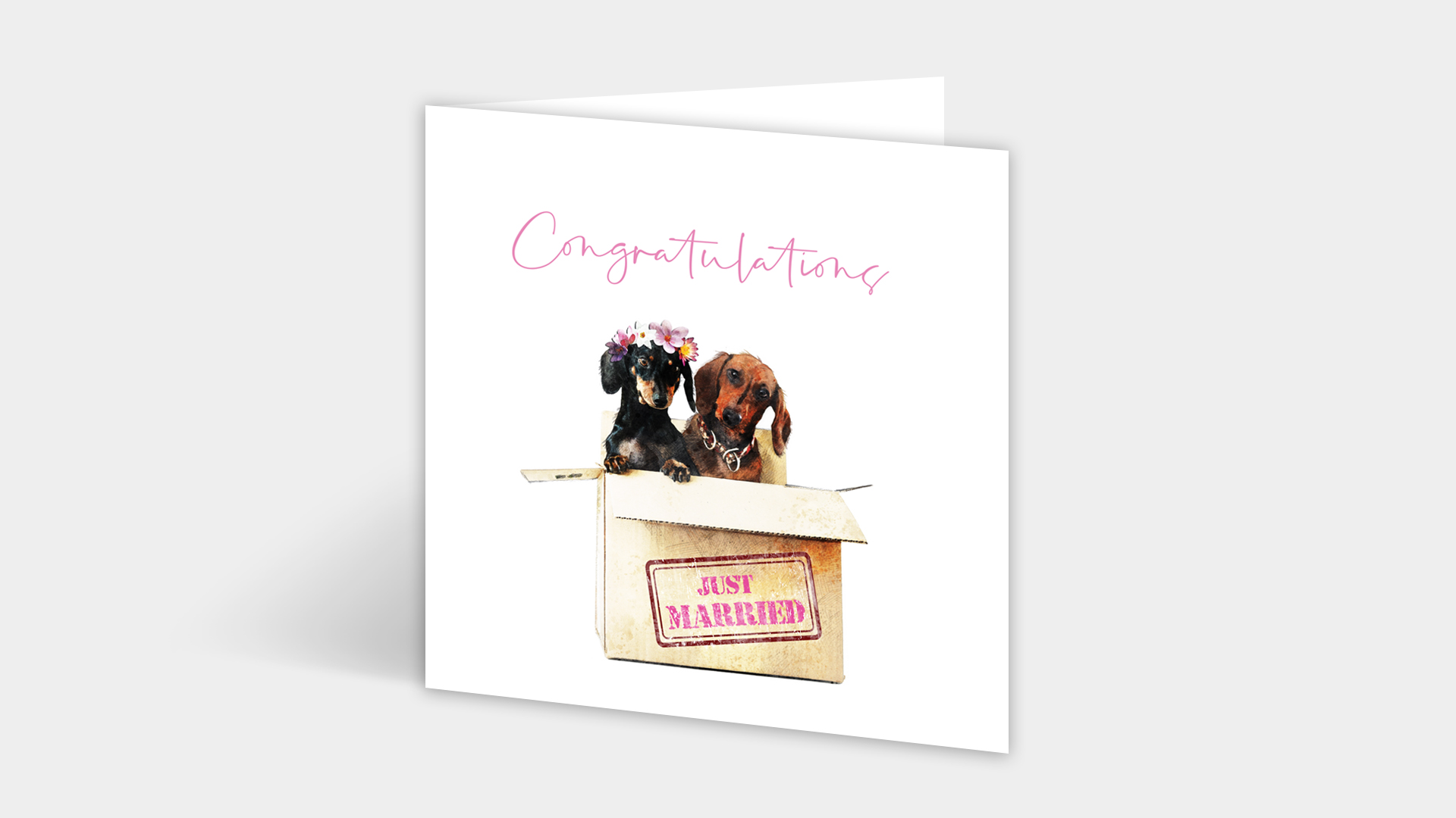 Dachshund Wedding Card