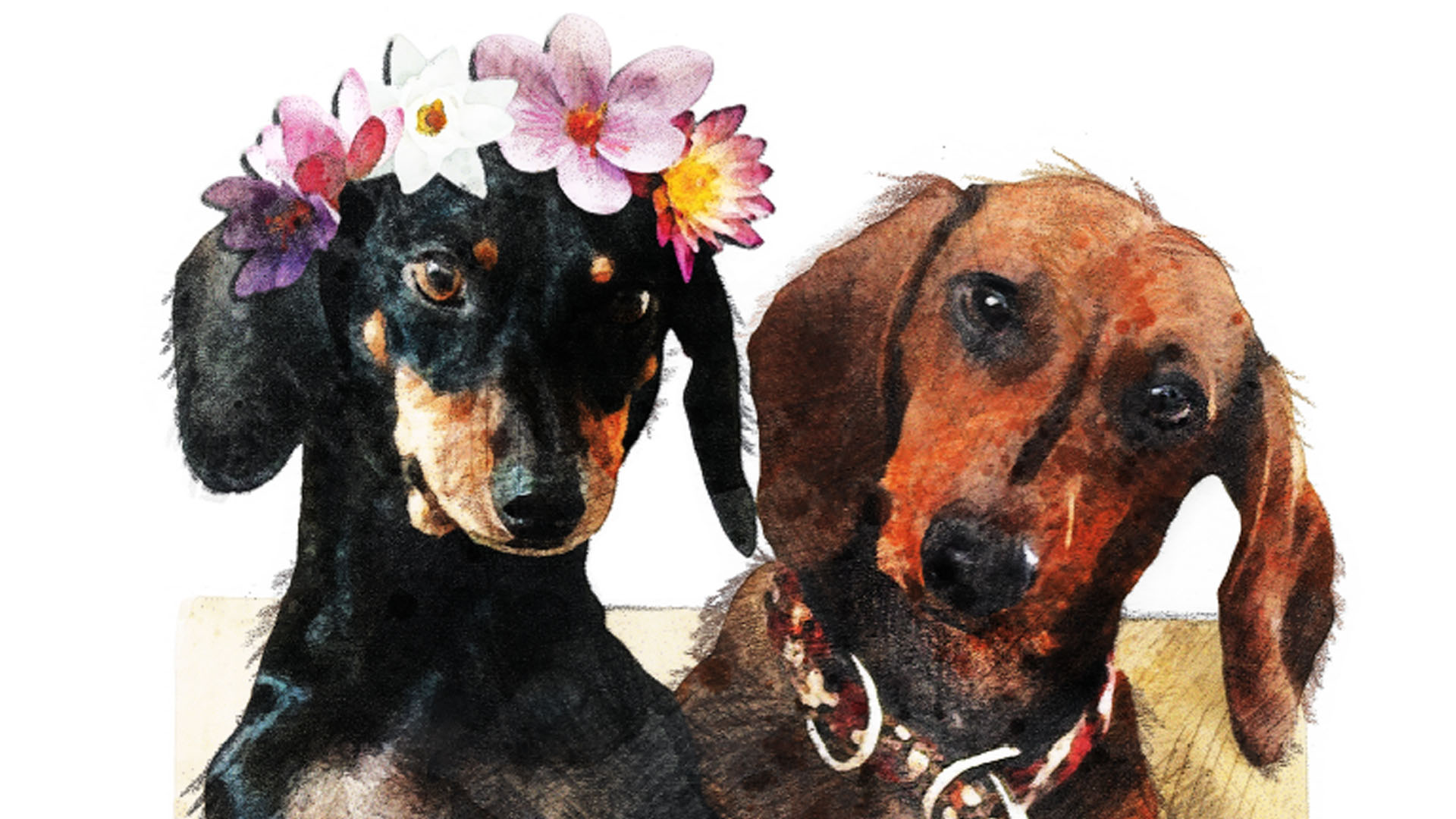 Dachshunds Wedding Card