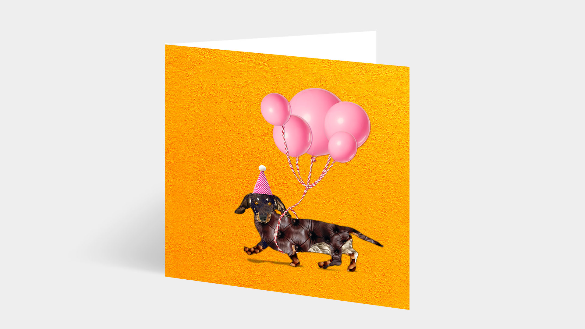 Dachshund Greeting Card