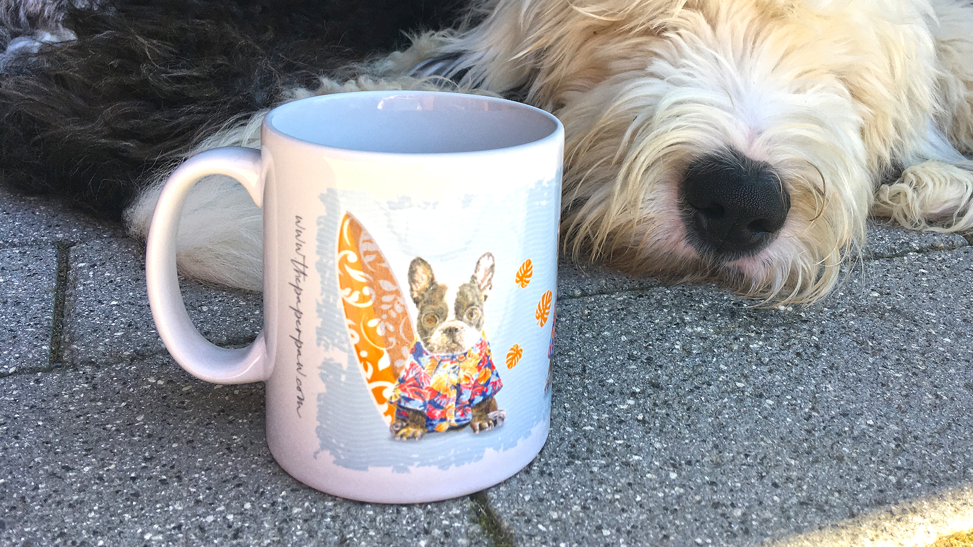 Surfing Dog Mugs