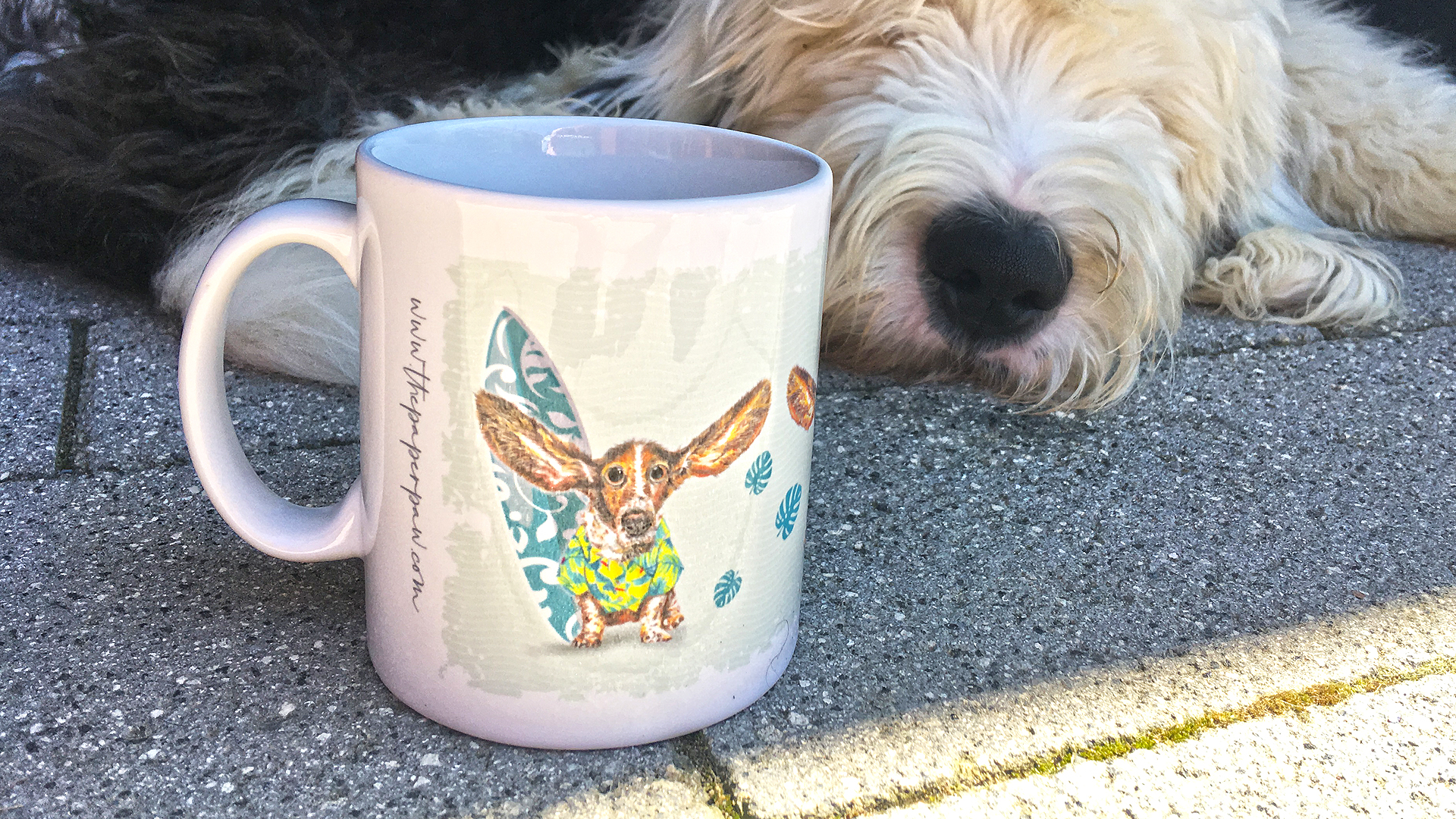 Surfing Dog Mugs